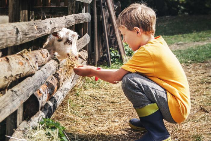 kind met geit 