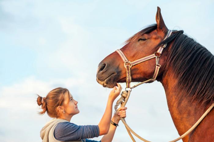 vrouw houdt paard vast 
